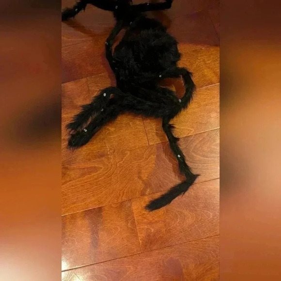 EUC Light Up Spider Halloween Decoration - Picture 4 of 8